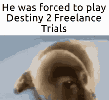 He Was Forced Destiny2 GIF - He Was Forced Destiny2 Trials GIFs