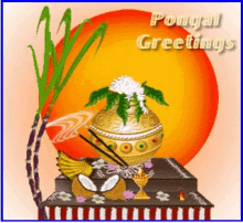 Pongal Greetings GIF - Pongal Greetings GIFs
