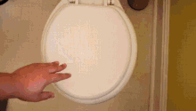 poop brady