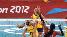 spike volleyball sports spike volleyball sports