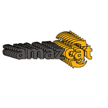 amazcat logo animation popular brand