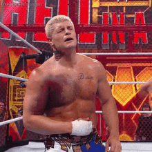 Cody Rhodes Wwe GIF - Cody Rhodes Wwe Hell In A Cell GIFs