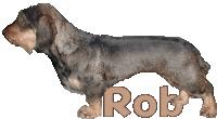 Rob Rob Name Sticker - Rob Rob Name Dog Stickers