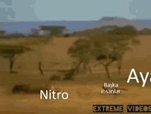 Ayaz Nitro GIF - Ayaz Nitro GIFs