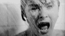 Janet Leigh Screaming - Psycho GIF - Scream Screaming Yelling GIFs