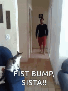cat high five whats up first bump sista