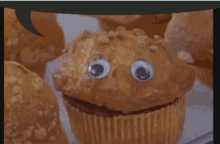 Muffin Hogg GIF - Muffin Hogg Laughs GIFs