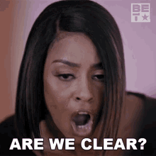 Are We Clear Jaelyn GIF - Are We Clear Jaelyn Haus Of Vicious GIFs