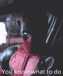 Deadpool You Know What To Do GIF - Deadpool You Know What To Do GIFs