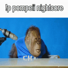 pompeii pompeii nightcore monkey falling pompeii pompeii nightcore monkey falling