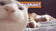Kat Van Mike Vibe Vibing Cat Relaxe Song GIF - Kat Van Mike Vibe Vibing Cat Relaxe Song GIFs