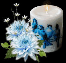 Candles Flowers GIF - Candles Flowers Birds GIFs