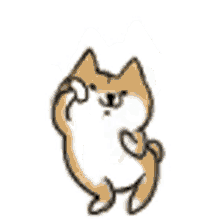 Shiba Dog Jump GIF - Shiba Dog Jump Dance GIFs