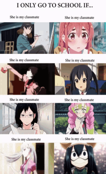 anime meme animeme anime girl reddit