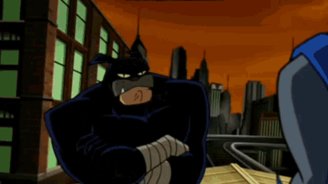 Wildcat Fight GIF - Wildcat Fight Tough - Discover & Share GIFs