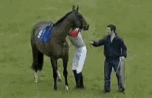 jockey horse jockey horse race horse racing barrel roll