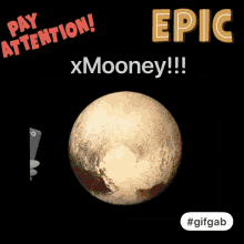 Xmooney Pay Attention GIF - Xmooney Pay Attention Epic GIFs