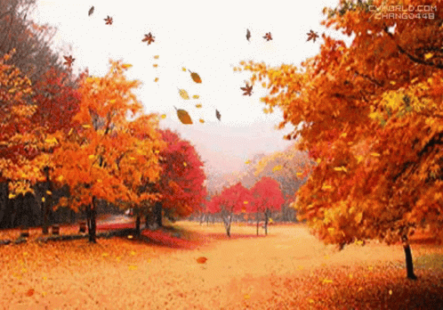 Autumn Leaves GIF - Autumn Leaves - Discover & Share GIFs