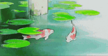 Cartoon Fish GIF - Cartoon Fish GIFs