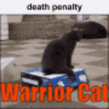 Warriors Warrior Cats GIF - Warriors Warrior Cats Cat GIFs