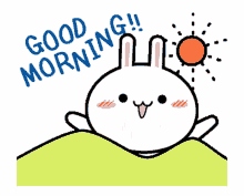 kawaii bunny morning