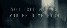You Told Me Yes Held Me High GIF - You Told Me Yes Held Me High Linkin Park GIFs
