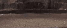 gamera gamera vs guiron guiron landing landing on feet