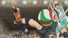 volleyball hinata haikyuu volleyball hinata haikyuu