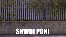 Hansh Shwdi Poni GIF - Hansh Shwdi Poni Teledu GIFs