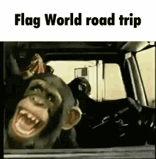 Flag World Road Trip GIF - Flag World Road Trip Monkey GIFs
