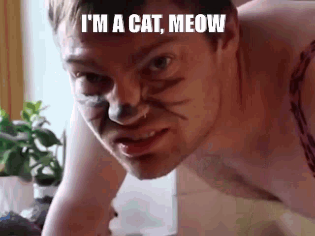 Im A Cat Meow GIF - Im A Cat Meow Bobbyfunk GIFs