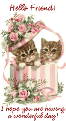 Hello Glitter Cats GIF - Hello Glitter Cats I Hope You Have A Wonderful Day GIFs