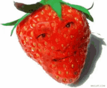 No Strawberry GIF - No Strawberry GIFs