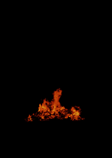 Campfire Flame GIF - Campfire Flame Burn GIFs