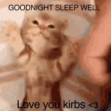 love you kirby good night kirby sleep well kirby kirb kirbs