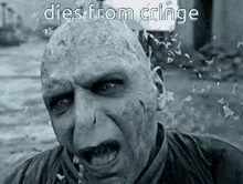 Dies From Cringe Voldemort GIF - Dies From Cringe Voldemort Cringe GIFs