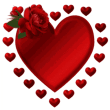 cora%C3%A7%C3%A3o heart hearts rose flower