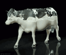 %E4%B9%B3%E7%89%9B cow milk