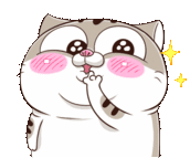 Ami Fat Cat Wow Sticker - Ami Fat Cat Wow Amazed Stickers