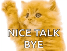 Bye Kitten GIF - Bye Kitten Nice Talk GIFs