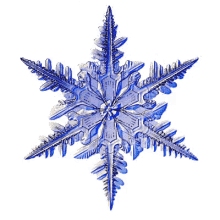 snowflake snowflake