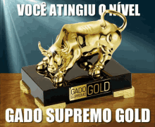 voce atingiu o nivel gado supremo gold trophy cattle