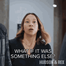 What If It Was Something Else Sarah Truong GIF - What If It Was Something Else Sarah Truong Hudson And Rex GIFs