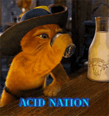 Acidglow Acid Nation GIF - Acidglow Acid Nation Acidglow Nation GIFs