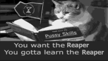 Sot Reaper GIF - Sot Reaper Pussy GIFs