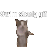 Swim Shady Gif Cat Sticker - Swim Shady Gif Cat Dance Stickers