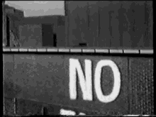 no future no future
