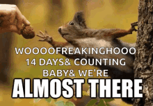 almost there almost reach 14days nut almost there almost reach 14days nut