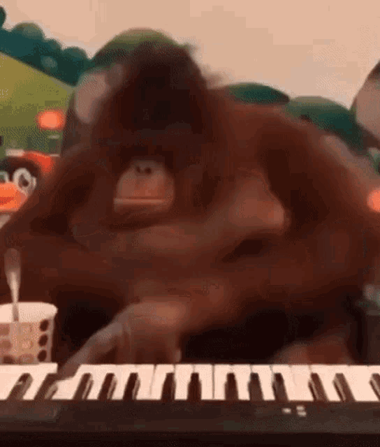 gif mono cabreado Oceanmam-orangutan