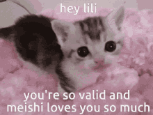 Lili Meishi GIF - Lili Meishi Love GIFs